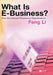 What Is E-Business?: How the Internet Transforms Organizations by Feng Li