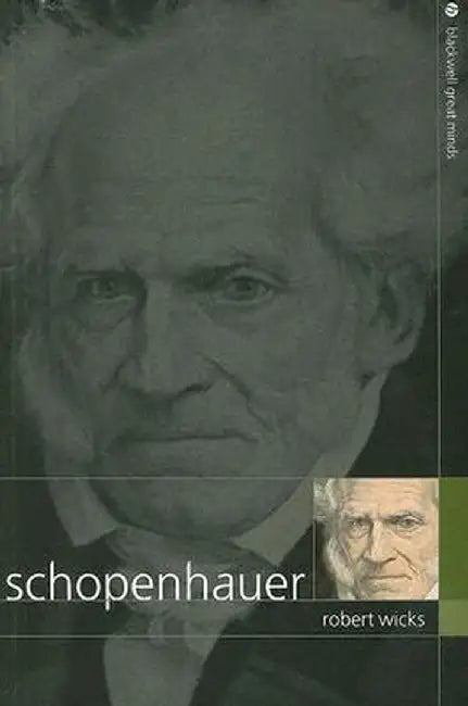 Schopenhauer by Robert J. Wicks