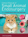 Clinical Manual of Small Animal Endosurgery by Alasdair Hotston Moore