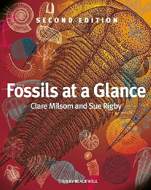 Fossils at a Glance by Clare Milsom