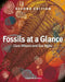 Fossils at a Glance by Clare Milsom