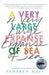 A Very Large Expanse of Sea by Tahereh Mafi