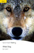 White Fang by Brigit Viney
