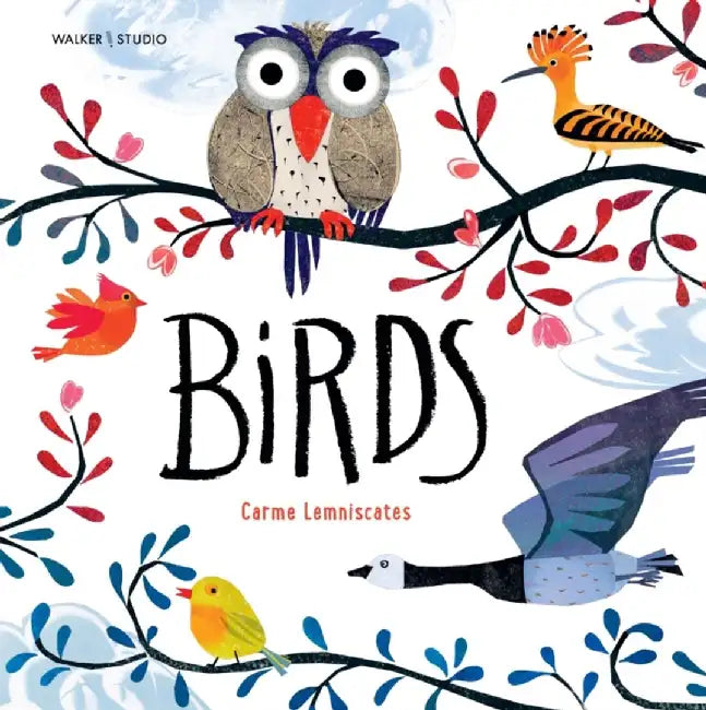 Birds by Carme Lemniscates