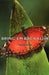 Bring 'em Back Alive by Frank Buck