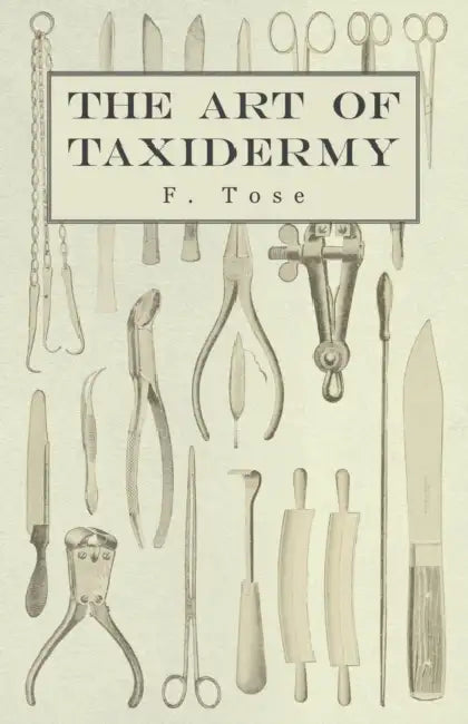 The Art of Taxidermy by F. Tose