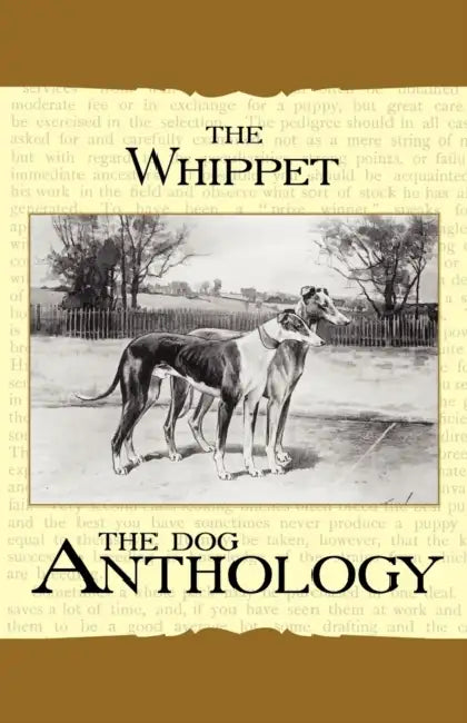 The Whippet - A Dog Anthology (a Vintage Dog Books Breed Classic) by Various
