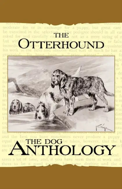 The Otterhound - A Dog Anthology (a Vintage Dog Books Breed Classic) by Various