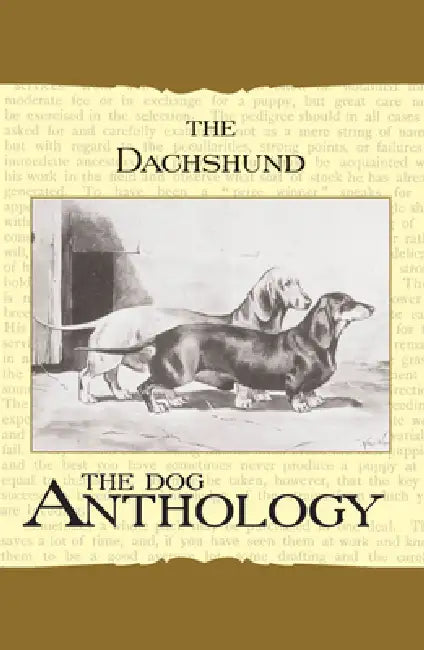 The Daschund - A Dog Anthology (a Vintage Dog Books Breed Classic) by Various