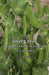Sweet Peas - Their History, Development & Culture by Chas W. J. Unwin