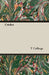 Cricket by T. C. Collings, Thomas Chapman Collings