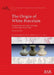 The Origin of White Porcelain by Shan Huang