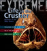 Extreme Science: Life in the Crusher by Trevor Day