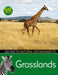 Grasslands by Ian Rohr
