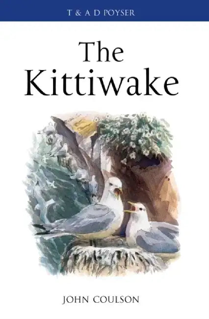 The Kittiwake by John Coulson
