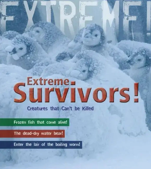 Survivors by Ross Piper