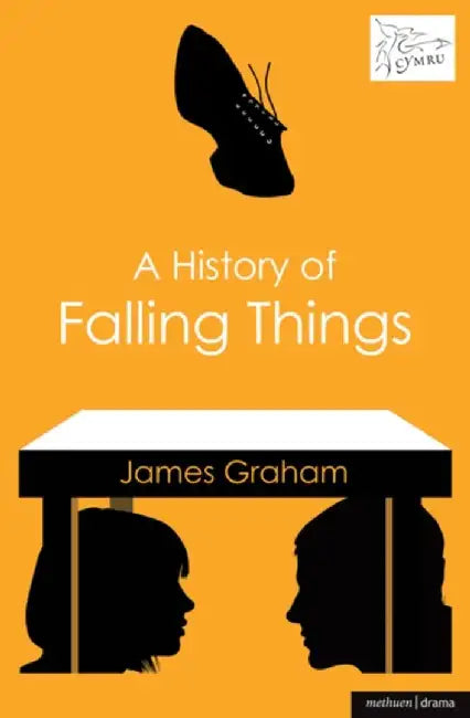A History of Falling Things by Steve Newell