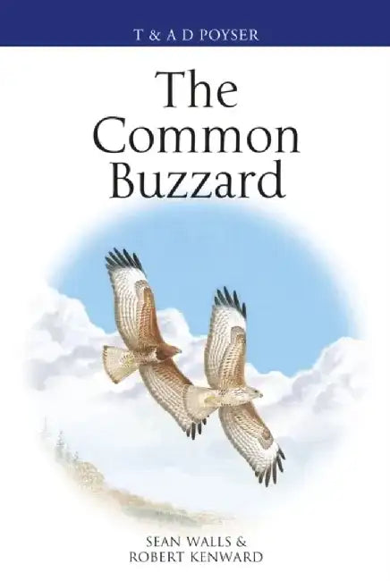 The Common Buzzard by Sean Walls