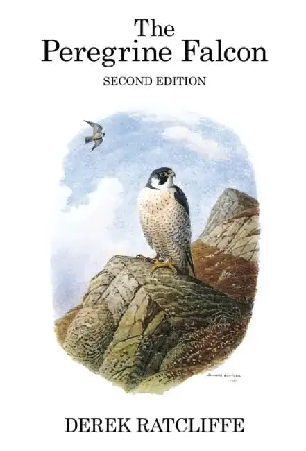 The Peregrine Falcon by Derek Ratcliffe