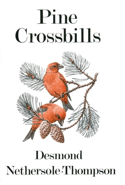 Pine Crossbills by Desmond Nethersole-Thompson