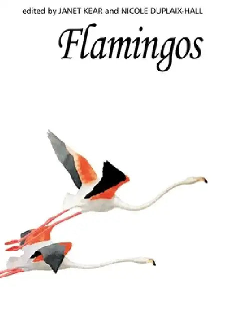 Flamingos by Janet Kear
