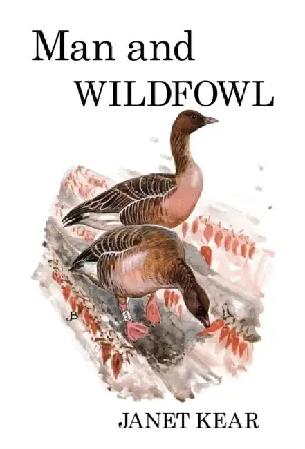 Man and Wildfowl by Janet Kear