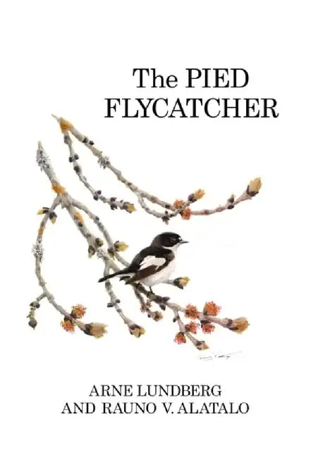 The Pied Flycatcher by Arne Lundberg