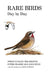 Rare Birds Day by Day by Steve Dudley