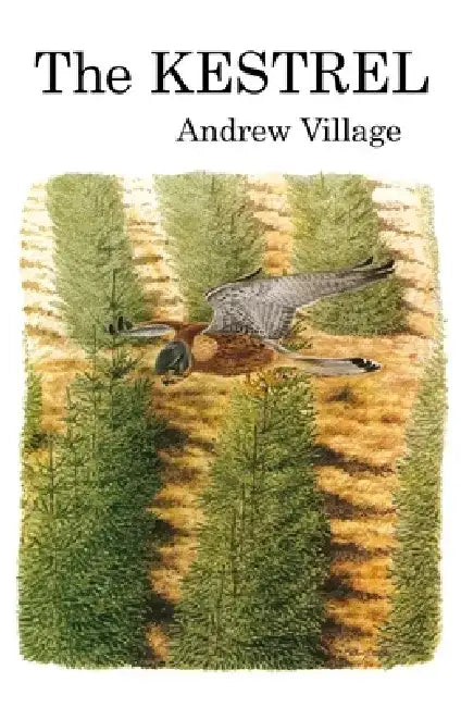 The Kestrel by Andrew Village