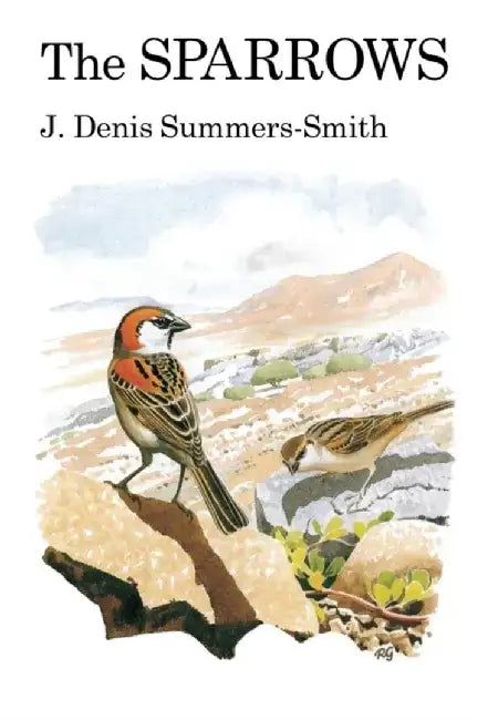 The Sparrows by Denis Summers-Smith
