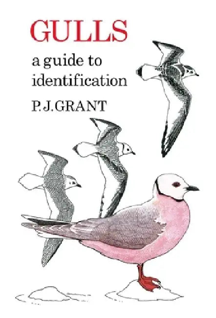 Gulls: A Guide to Identification. 2nd Edition by P.J Grant