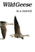 Wild Geese by M. A. Ogilvie