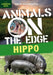 Hippo by Anna Claybourne