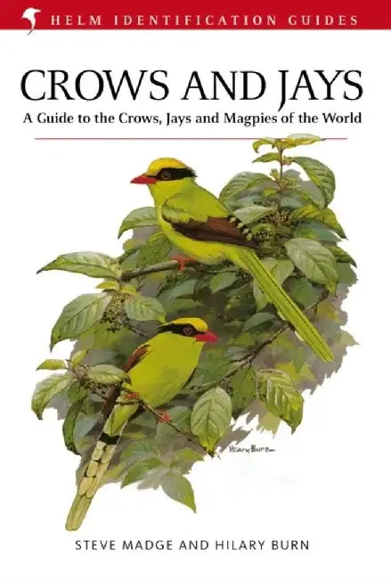 Crows and Jays by Steve Madge