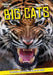 ZSL Big Cats by Michael Cox
