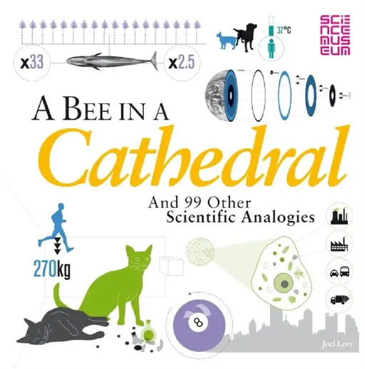 A Bee in a Cathedral by Joel Levy