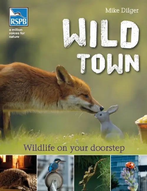 Wild Town by Mike Dilger