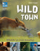 Wild Town by Mike Dilger