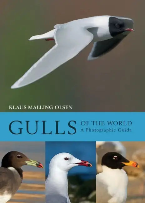 Gulls of the World by Klaus Malling Olsen