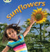Bug Club Phonics - Phase 5 Unit 20: Sunflowers by Emma Lynch