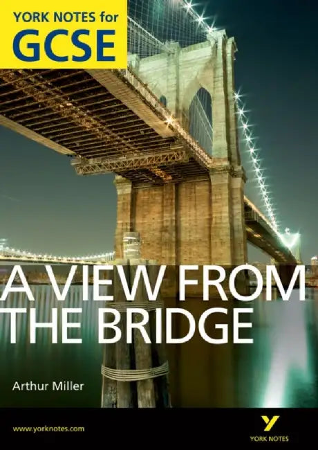 A View From The Bridge: York Notes for GCSE (Grades A*-G) by Shay Daly