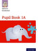 Nelson Grammar Pupil Book 1A Year 1/P2 by Wendy Wren