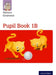 Nelson Grammar Pupil Book 1B Year 1/P2 by Wendy Wren