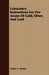 Laboratory Instructions For Fire Assays Of Gold, Silver, And Lead by Walter S. Morley