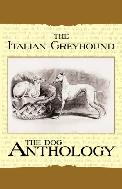 The Italian Greyhound: A Dog Anthology by Various