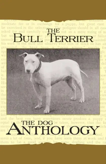 The Bull Terrier - A Dog Anthology (a Vintage Dog Books Breed Classic) by Various