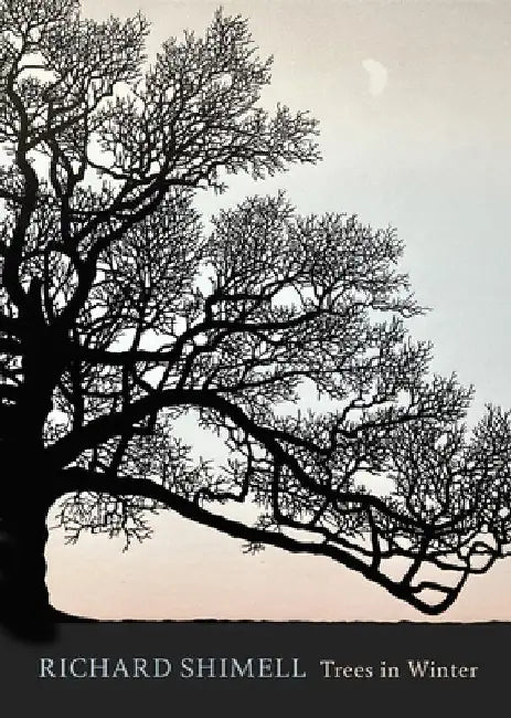 Trees in Winter by Richard Shimell