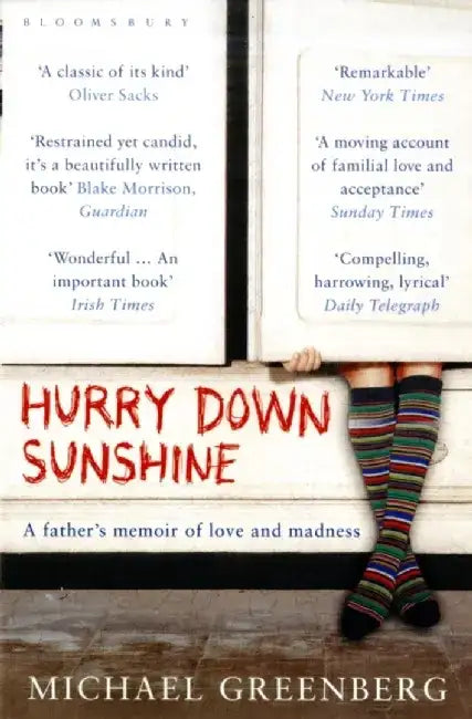 Hurry Down Sunshine by Michael Greenberg