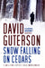 Snow Falling on Cedars by David Guterson