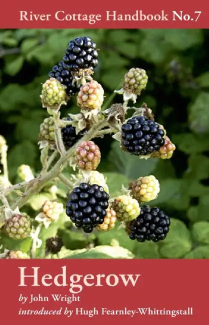 Hedgerow by John Wright